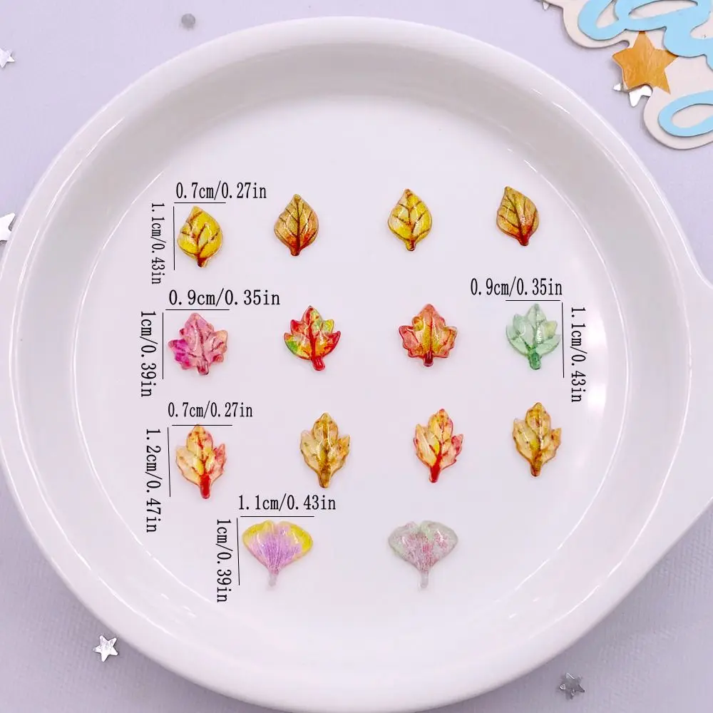 50pcs Mixed Resin Mini Crystal – Paradise Jewelry & Watches Dolphin Mall Bewertung und Preis